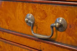 Bachelor chest Eibe Wurzelholz