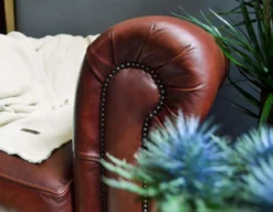 Chesterfield Sessel Philip