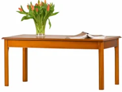 Couchtisch 120x60 Eibe