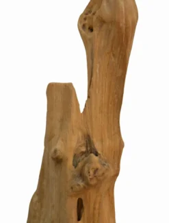 Deko Teakholz Ast massiv 50-69 cm