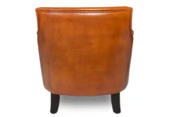 Leder Sessel Idaho
