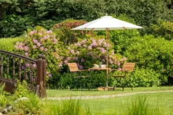 Runder Teak Klapptisch Bellevue 100cm