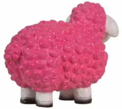 Schaf pink