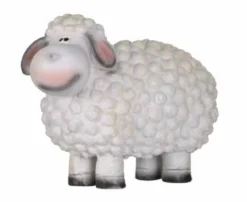 Schaf weiß