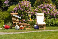 Teak Deckchair mit Rad