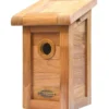 Teak Nistkasten Brighton