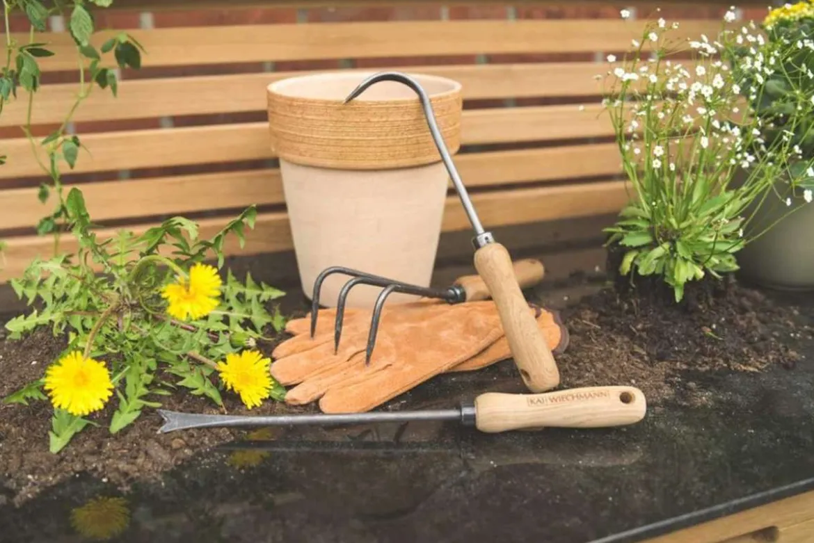 Teak Sauzahn geschmiedet