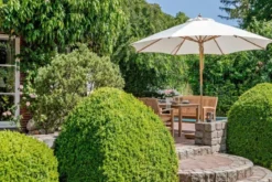 Teak Tisch Brighton rechteckig